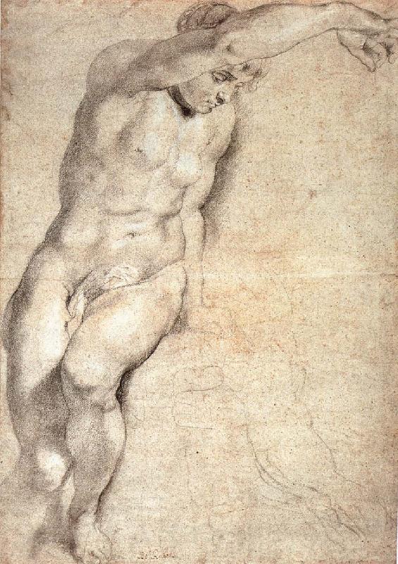 Peter Paul Rubens Portrait of naked woman France oil painting art